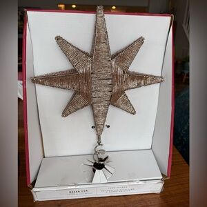 Bella Luxx Metallic Star Ornament